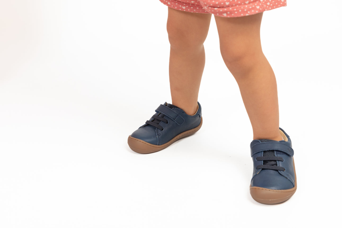 Bunny Barefoot - Carneiras Azuis