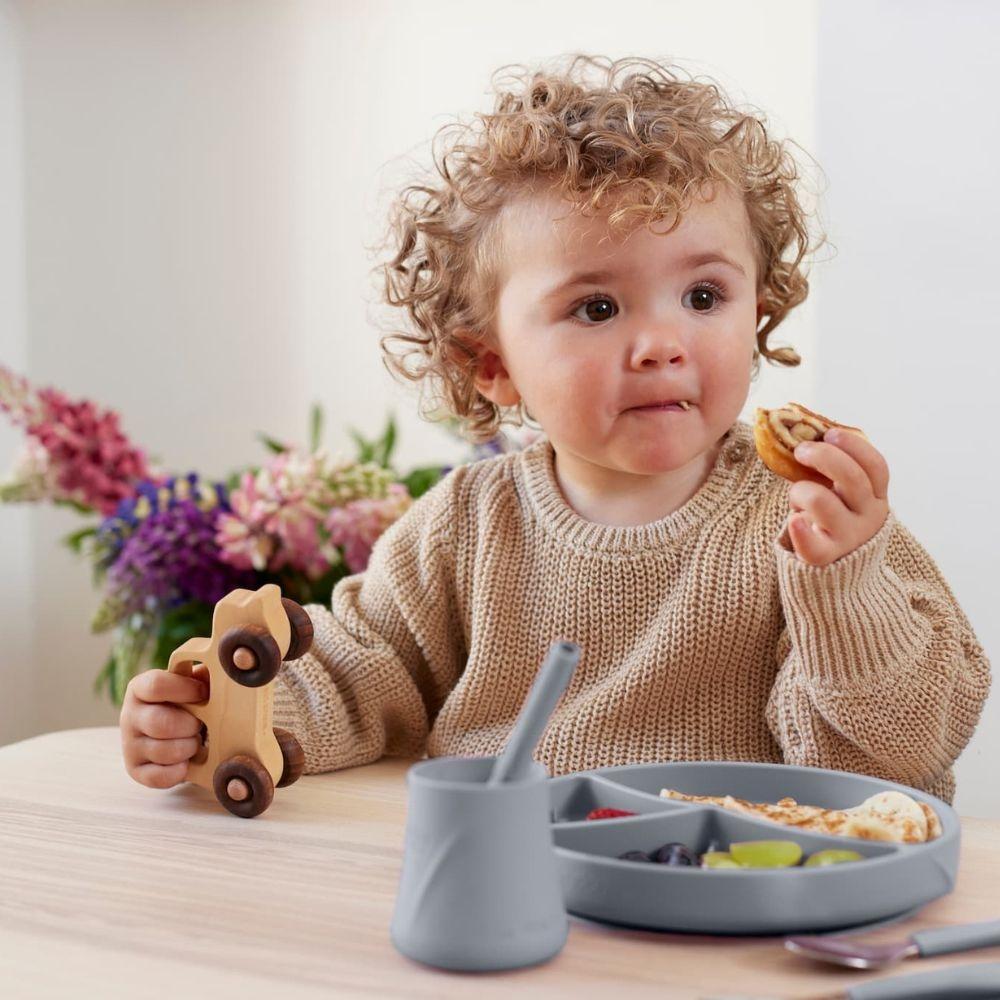 Prato De Silicone Com Ventosa EVERYDAY BABY - Cinzento